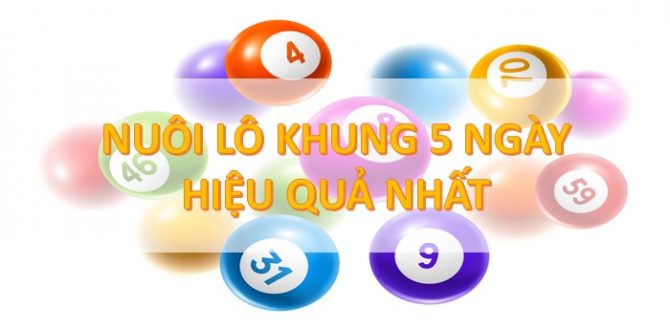 Cầu lô bạch thủ nuôi khung 5 ngày